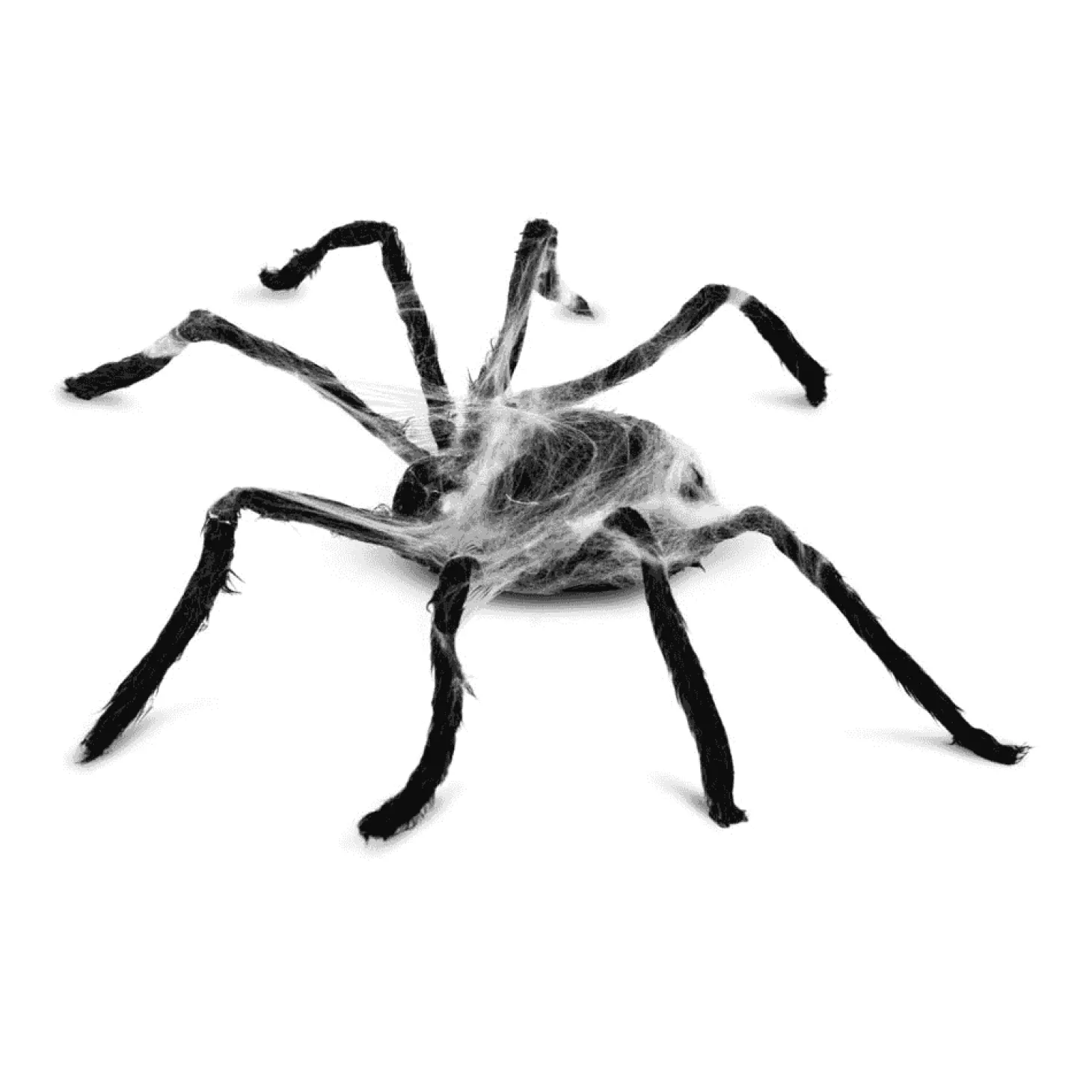 Araña Con telaraña para disfraz