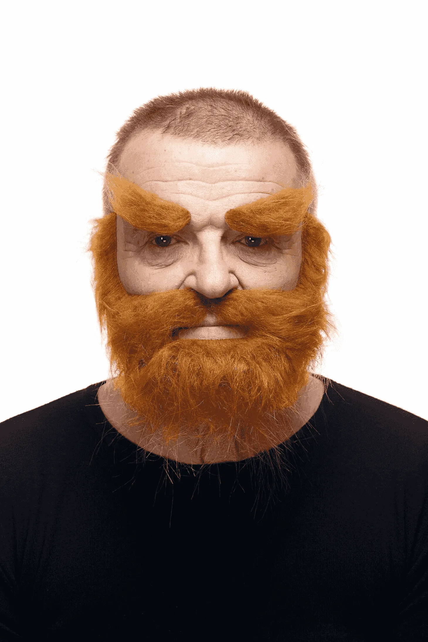 Bigote Cejas, barba, bigote, perilla para disfraz