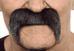 Bigotes para disfraz
