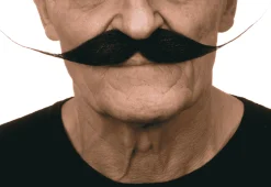 Bigotes para disfraz
