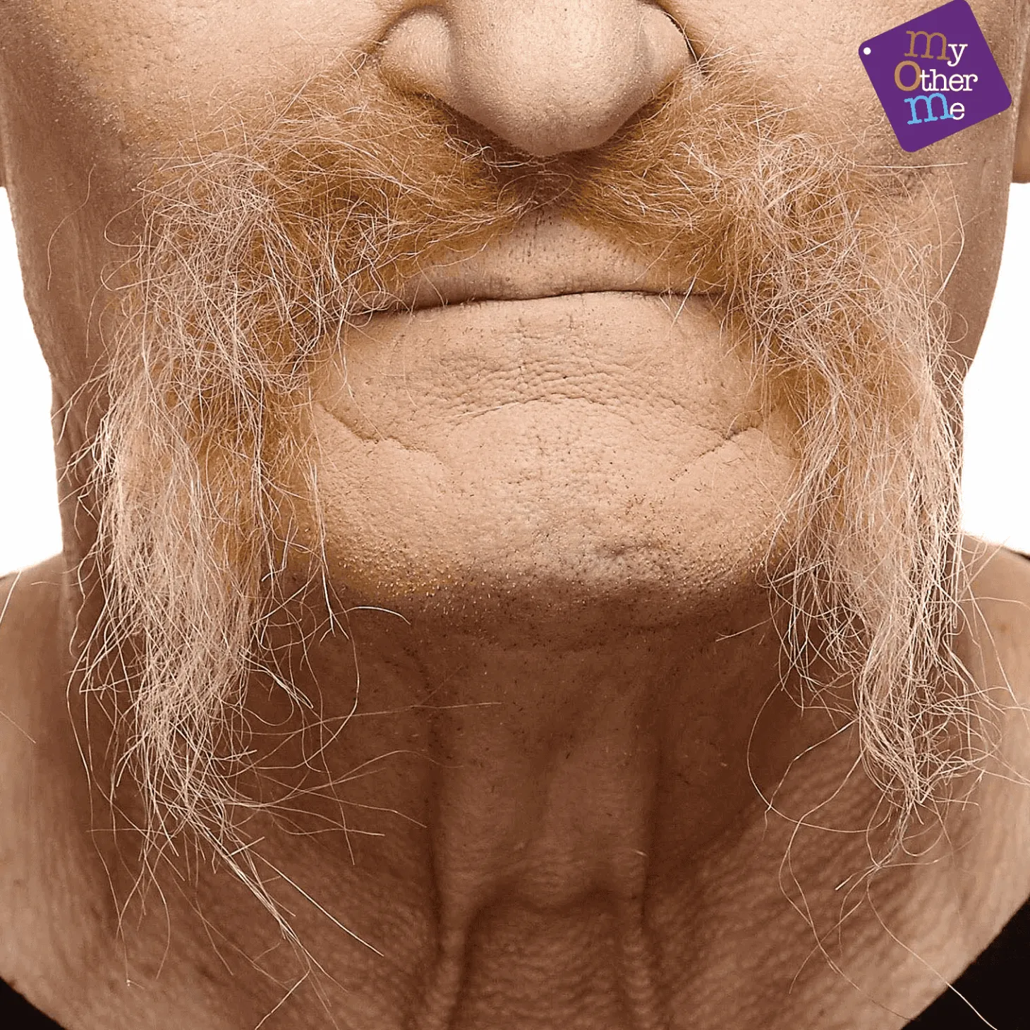 Bigotes para disfraz