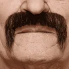 Bigotes para disfraz