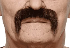 Bigotes para disfraz