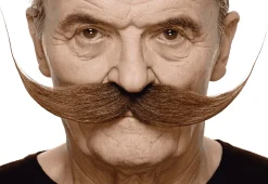 Bigotes para disfraz