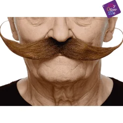 Bigotes para disfraz