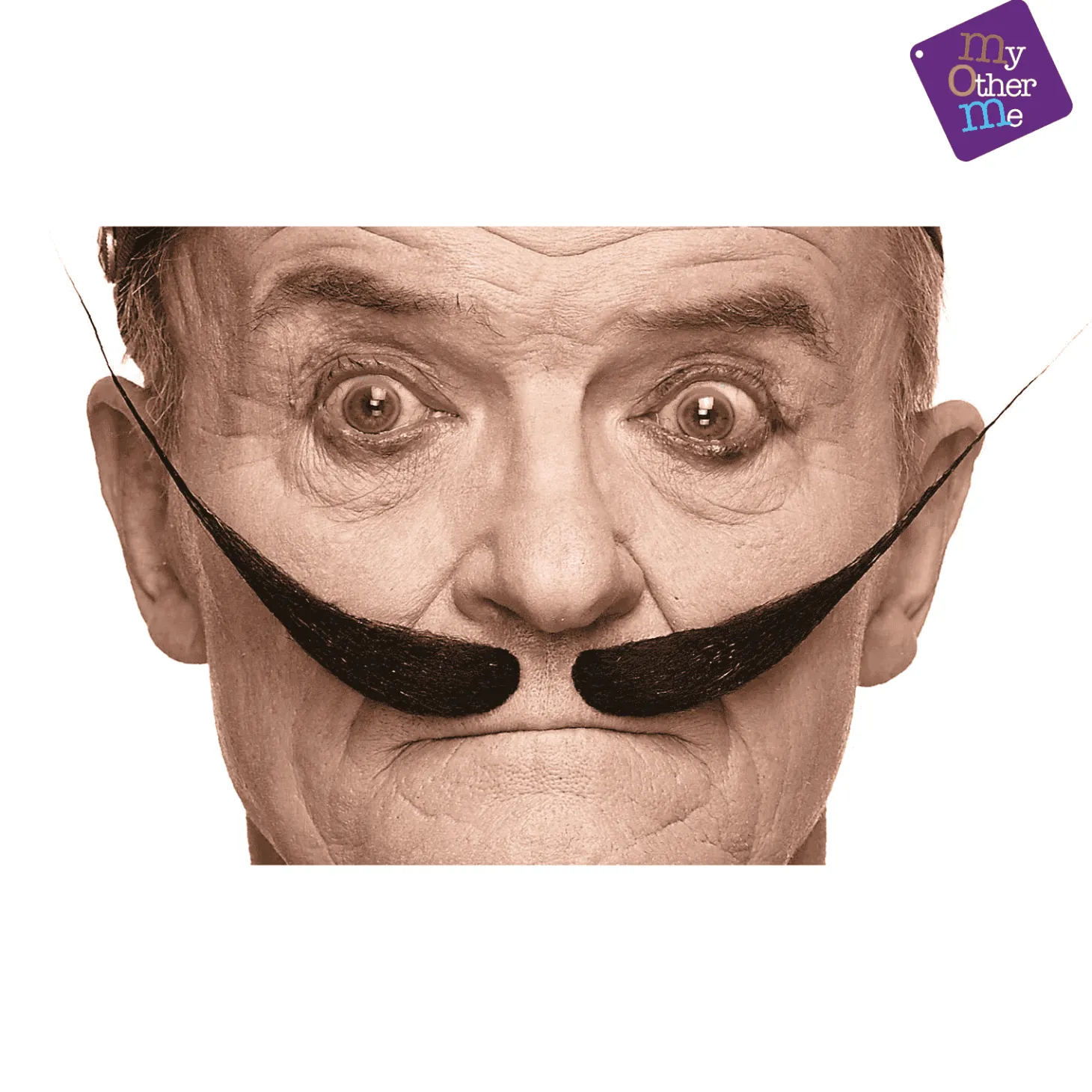 Bigotes para disfraz