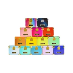 Bolsos de muñecas Modelo individual surtido Rainbow High