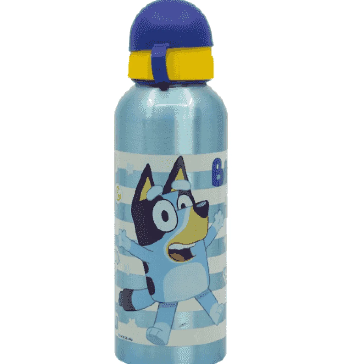 Botella de Aluminio Infantil 530 ml Bluey