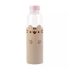 Botella de Cristal Pusheen 500ml