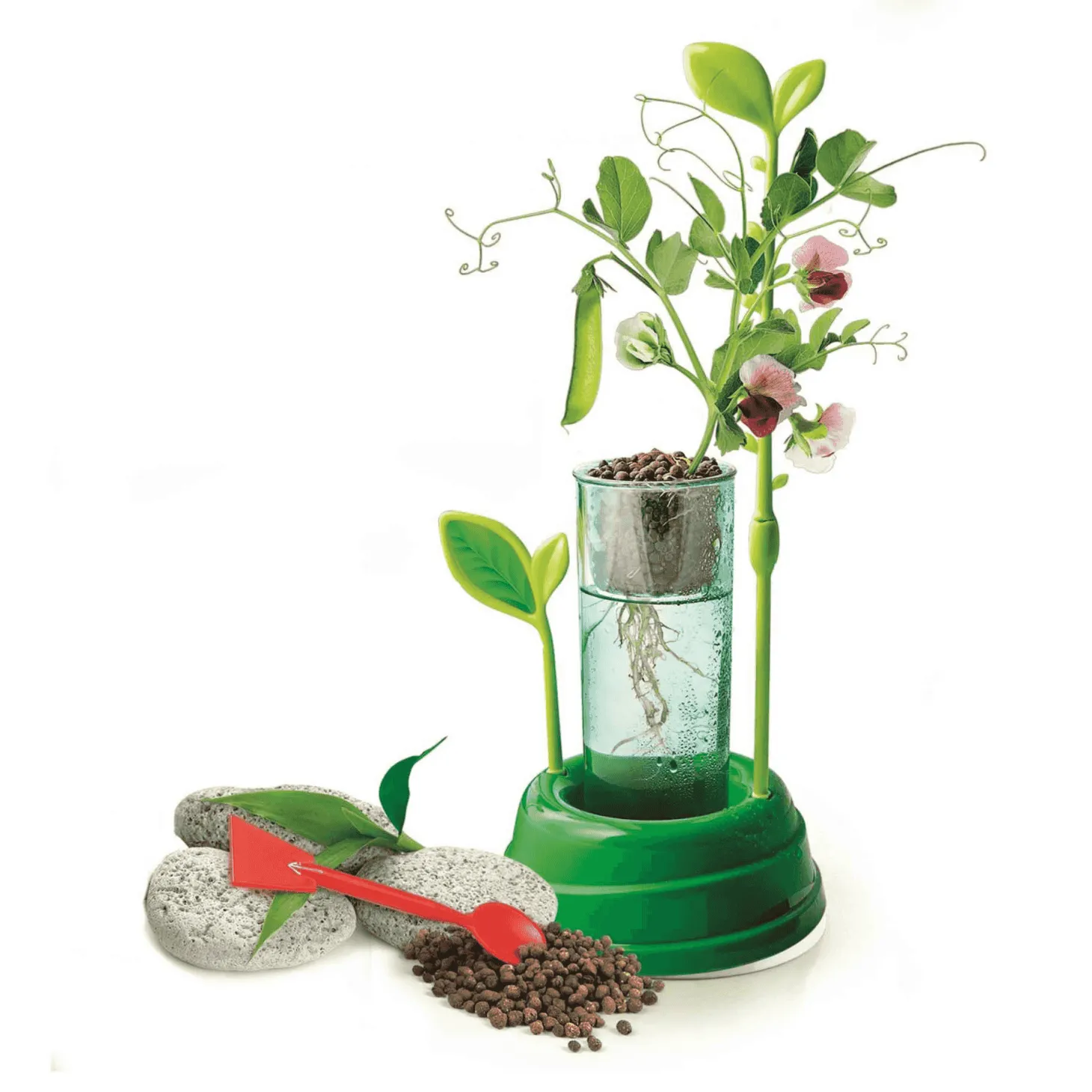 Clementoni Botanica e Hidrocultura