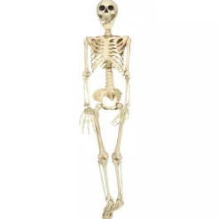 Colgante Esqueleto Humano 90 cm