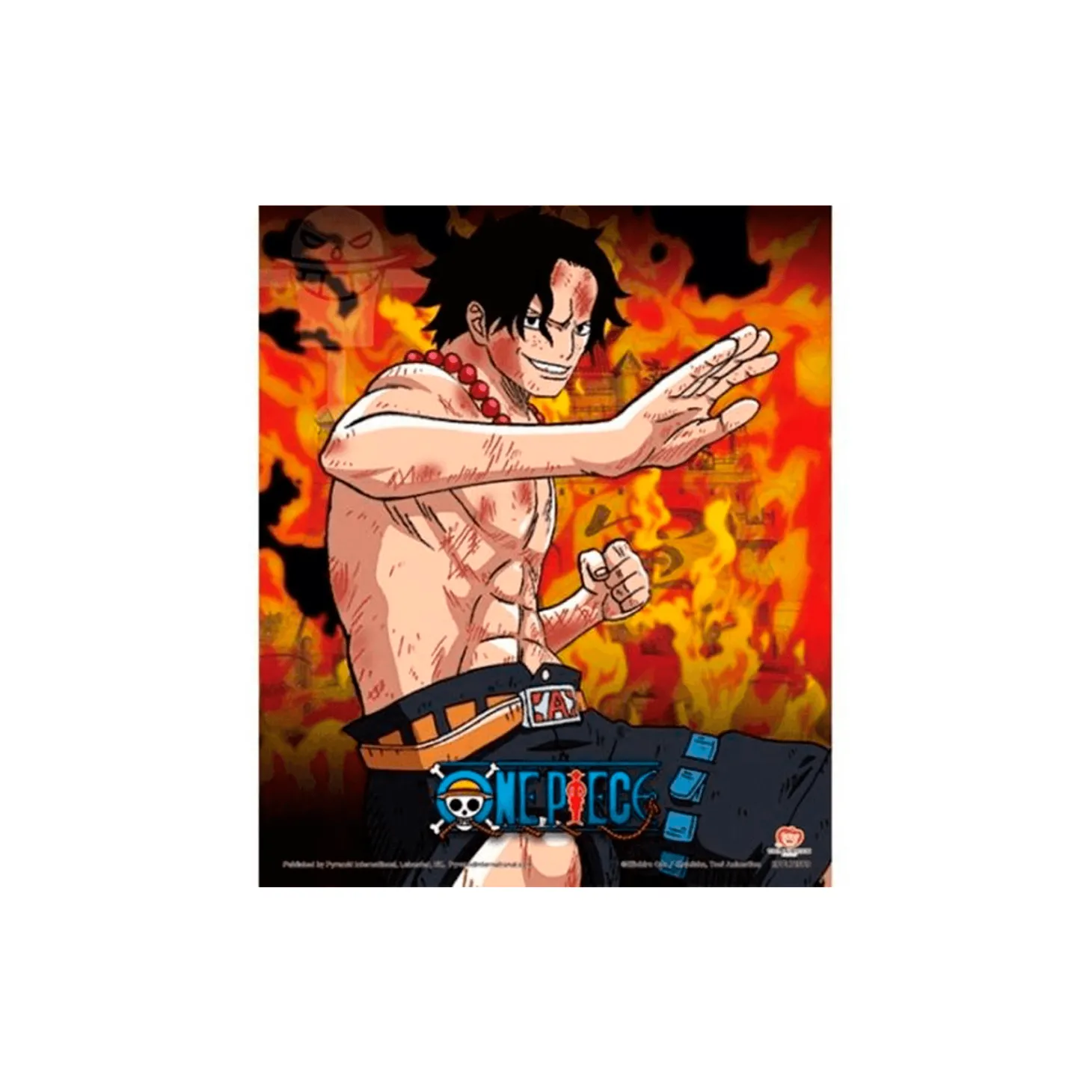 Cuadro 3D 'Brothers Burning Rage' de One Piece
