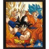 Cuadro 3D Dragon Ball Super - Friends or Rivals (26x20cm)