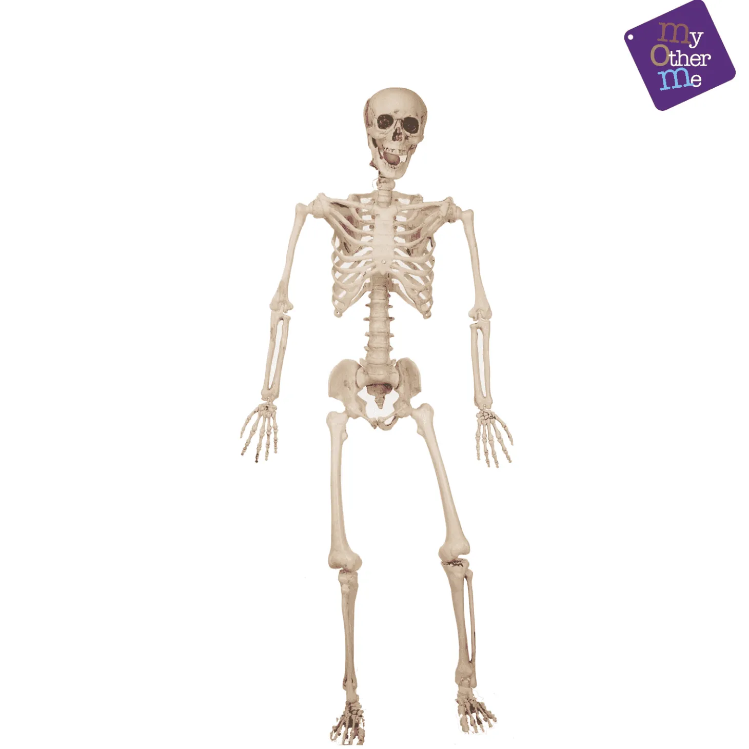 Esqueleto para disfraz