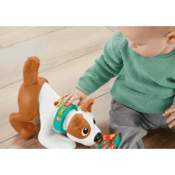 Fisher Price Perrito Gatea y Juega Conmigo