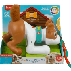 Fisher Price Perrito Gatea y Juega Conmigo