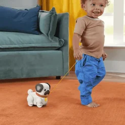 Fisher-Price FP Pets Pasea al perrito Carlino