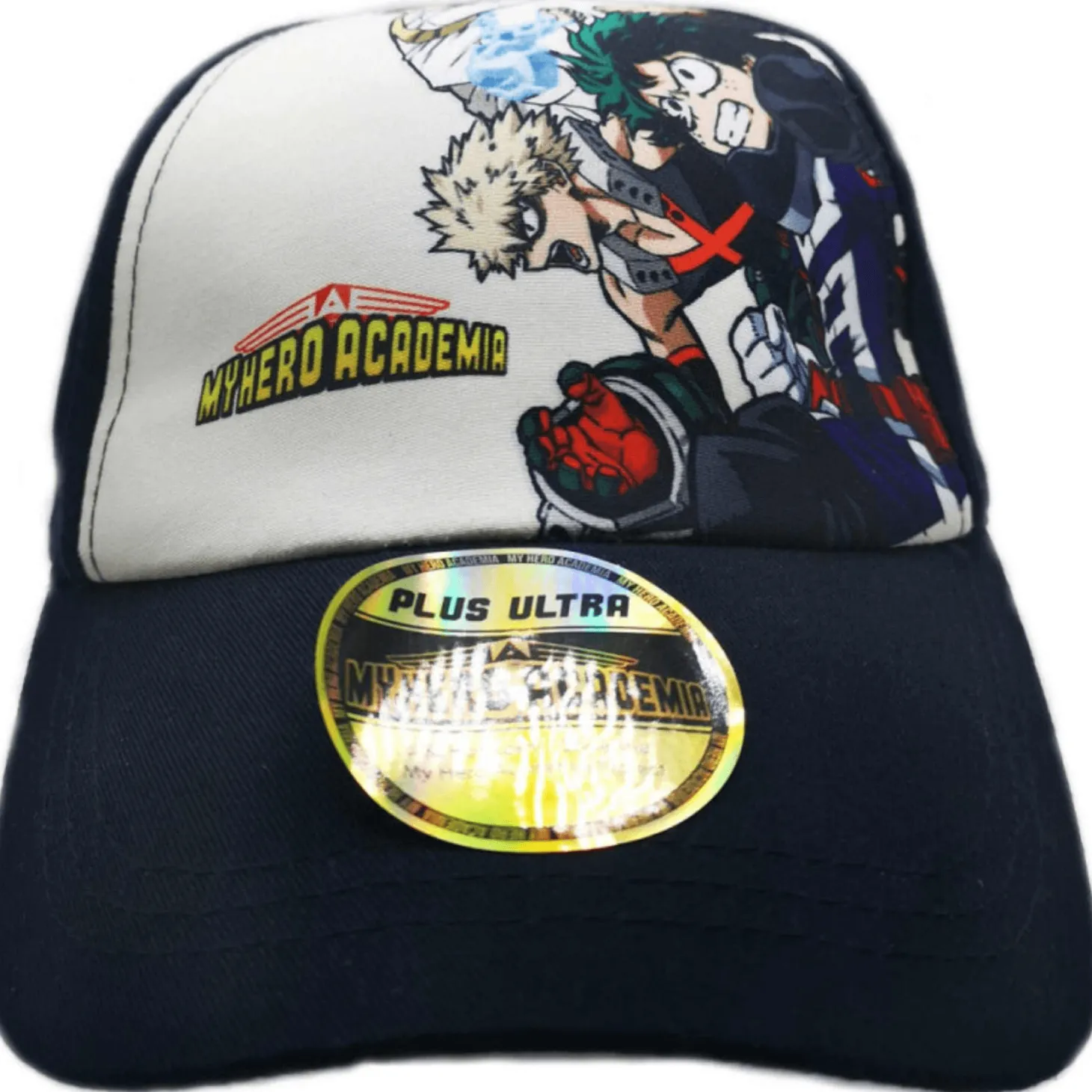 Gorra Junior The Hero Academy
