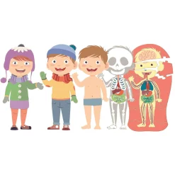 Juego Aprendo el Cuerpo Humano