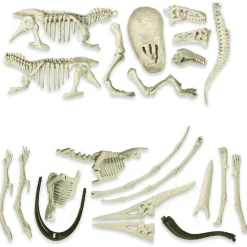 Kit de excavación: T-Rex y Pteranodon