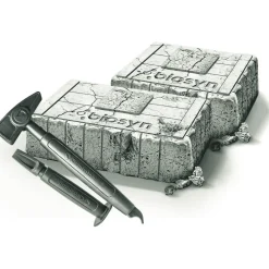 Kit de excavación: T-Rex y Pteranodon