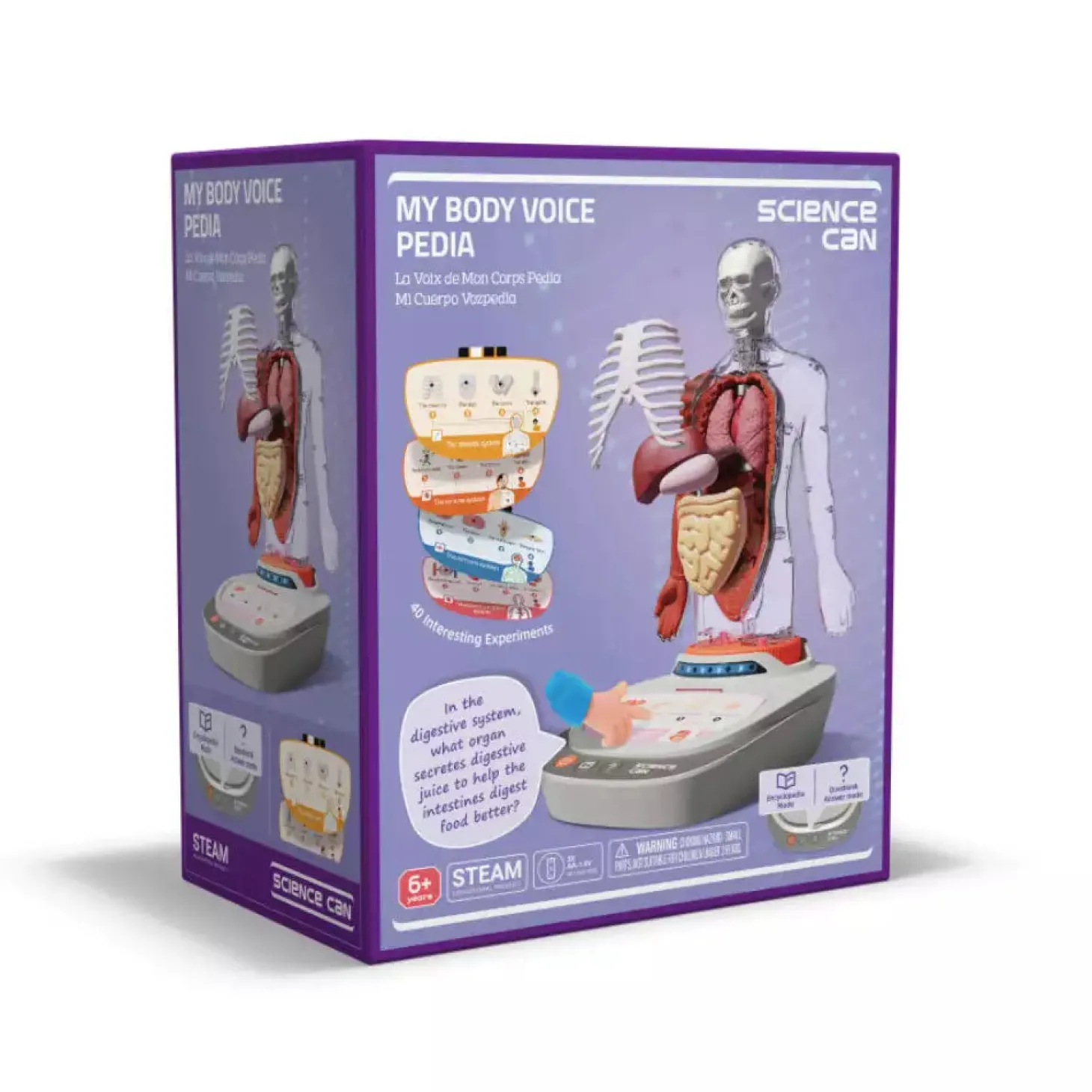 Mi Cuerpo Vozpedia 3D anatómico interactivo