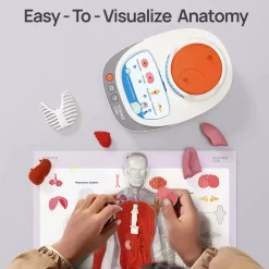 Mi Cuerpo Vozpedia 3D anatómico interactivo