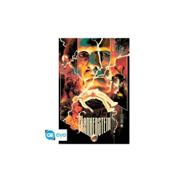 Monstruos universales - maxi poster 91,5x61 - frankenstein