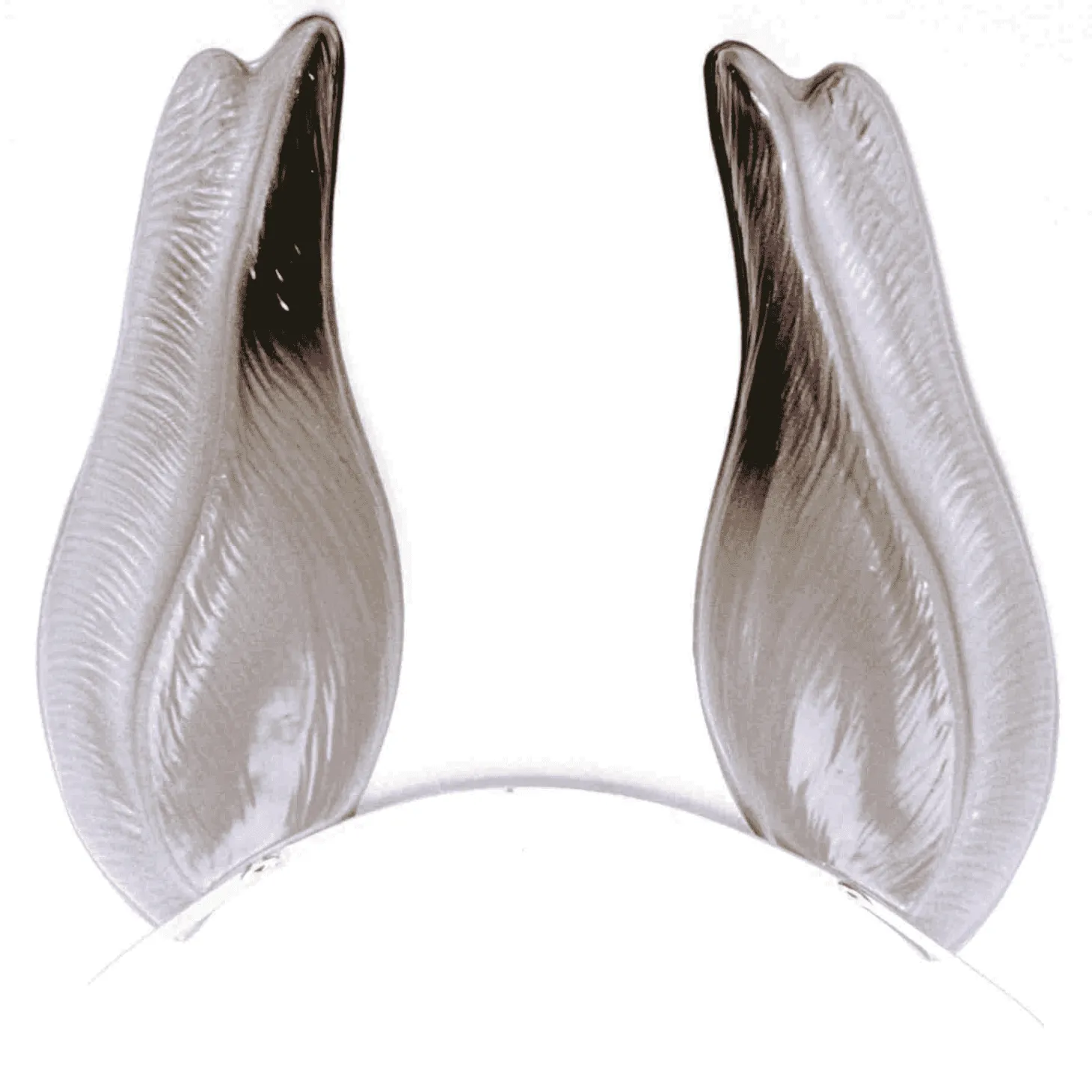 Orejas Asno PVC Complemento Disfraz