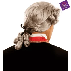 Peluca Lord para disfraz