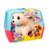 Peluche Interactivo Cooper Little Live Pets Ouchies – Recupera la Patita
