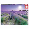 Puzzle 1000 piezas Bicicleta Campo Lavanda