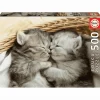 Puzzle 500 piezas Dulces Gatitos