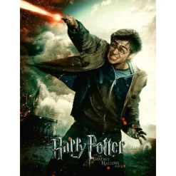 Puzzle Harry Potter 100 Piezas