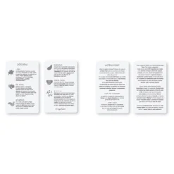 ¿Qué me estás container? – El juego de frases absurdas para reír sin parar