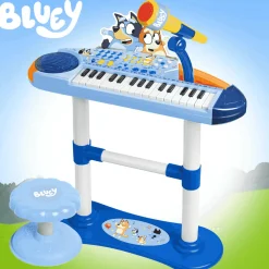 Órgano con micro, pie y banqueta