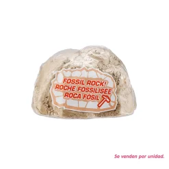 RoboAlive Dino Fossil