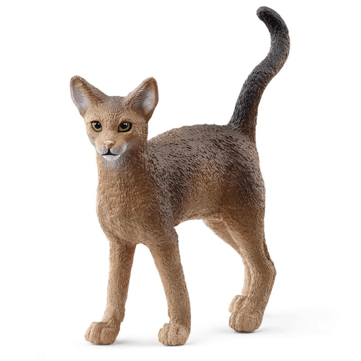 Schleich Figura Gato abisinio