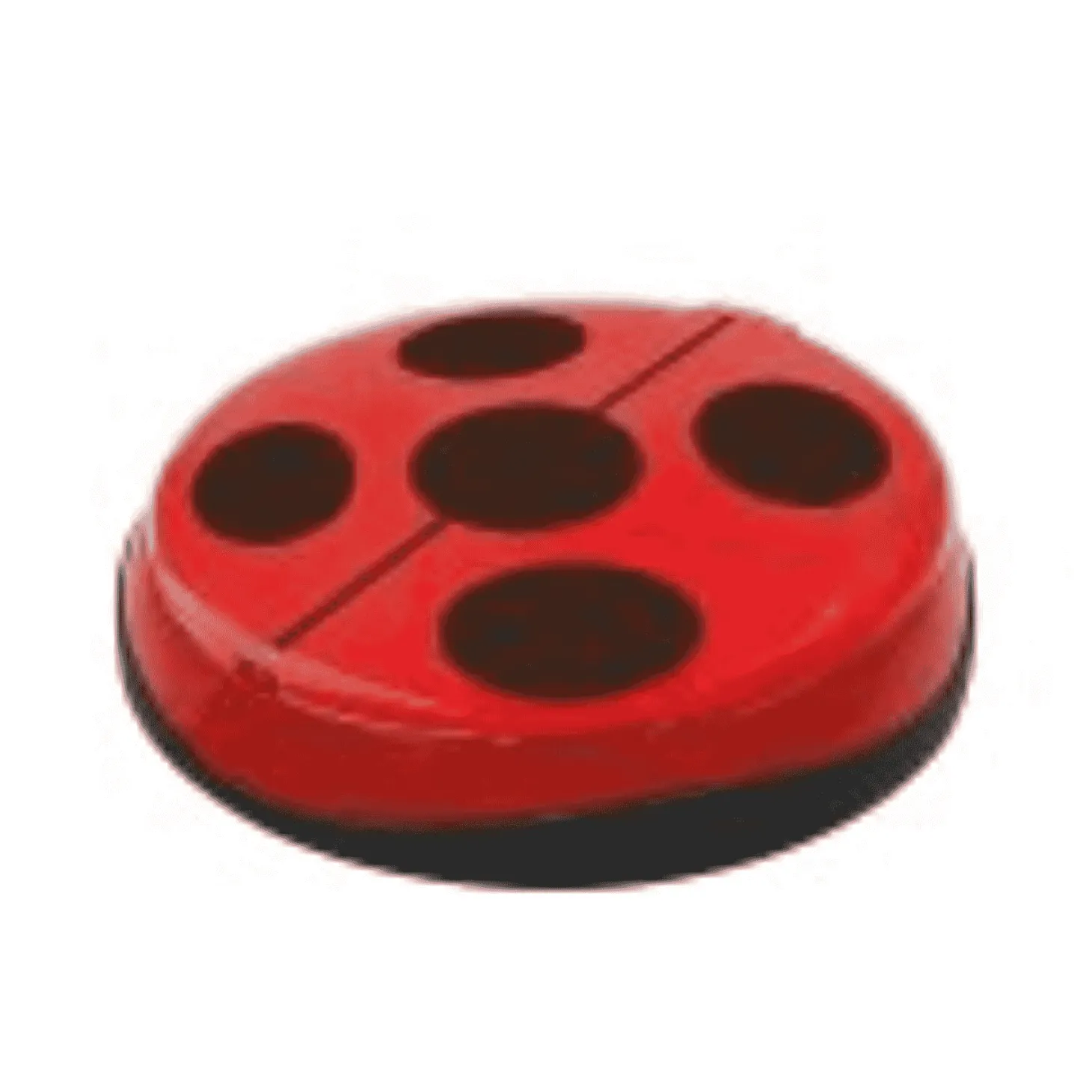 Soy Ladybug Decora Tu Pelo