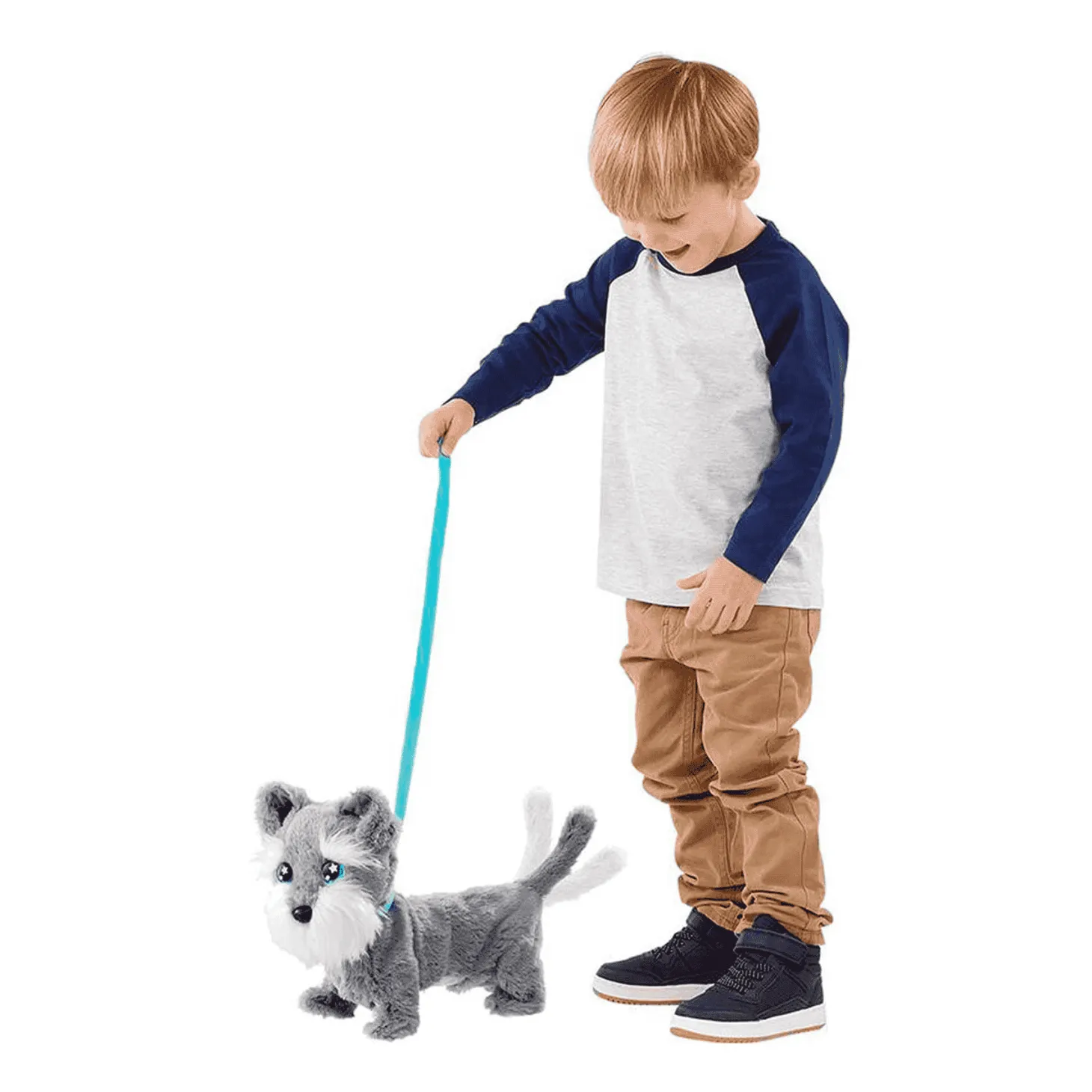 Tilly Mi Perrito Terrier